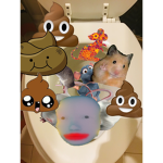 Local rAT GROuP(AKA BRAT RATZ