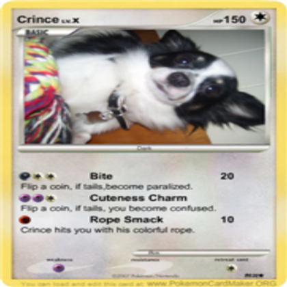 Funny Pokemon Card of my Dog Roblox decal
