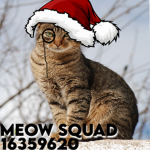 Meow Squad Official