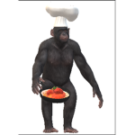 Monkey is best animal