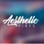 Aesthetic._.Vibez1
