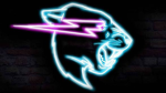 Beast donations