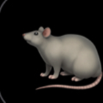 Rat Rat Gang