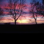 Murderous Revenge [WIP]