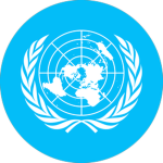 UN Service Forces
