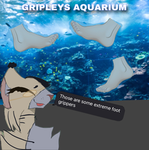 ~ GRIPLEYS AQUARIUM ~