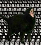 ┐(ﾟ～ﾟ)┌