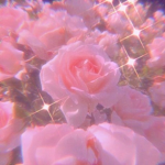 *+ Angels +*