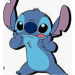 de stitch group