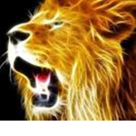 Lion and Abbie’s boutique