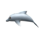 DA #DOLPHIN SQUAD