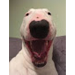 WALTER