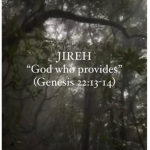 Christ the Lord is our redeemer