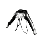 Roblox entity thumbnail
