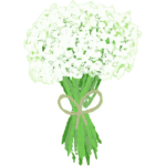ROBUX Reales de Saoli104