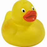 The United Nation Of Ducks