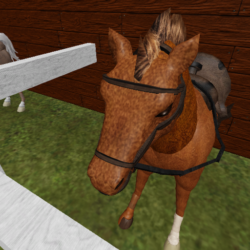 Horse Simulator
