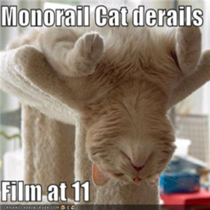 Funny Cat #1 Roblox decal