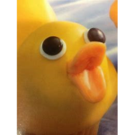DUCK SQUAD for DUCKS