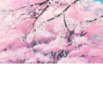 +~Cherry Blossom~+