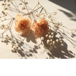 Where The Flowers Bloom