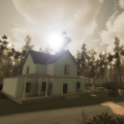 The House