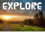 Beta: Exploration