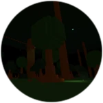 The Forest