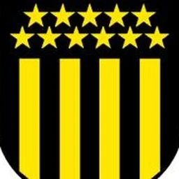 Estadio Peñarol  icon