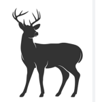 The Hunter place