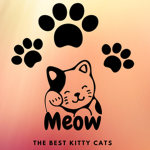The Best Kitty Cats
