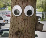 GoogleTree Productions
