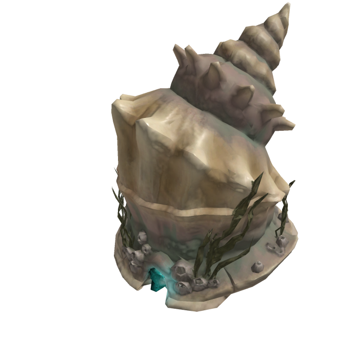 Conch Count