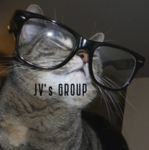 JVs Group