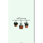 Kiwii_kawaii