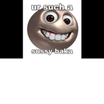 The sussy bakas E