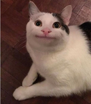 Leon_yt