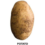 GermanPotatoo
