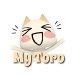 ʚ ᴍʏ ᴛᴏʀᴏ ɞ