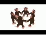 The Place Where Monke Live