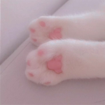 pawvs