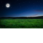 Moonlight Meadow Academy