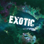 EXOTIC is #1