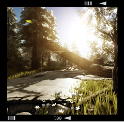 Trail