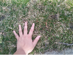 🎮 Touch Grass Simulator 😰