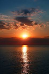 maddies paradise-