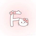 F ≽^• ˕ • ྀི≼