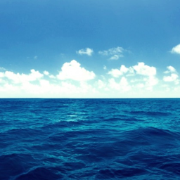 The water would