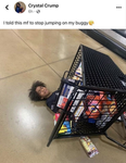 lilysstuff