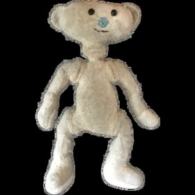 Survive Bear